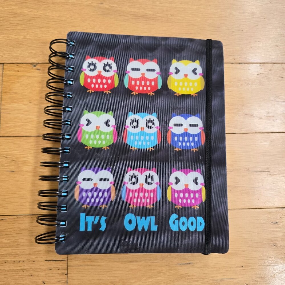 whimsy multicolor 3D lenticular motion owl paper journal spiral notebook